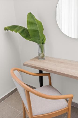 a plant in a vase on a table with a chair at White Olive Marine Aquapark in Tigaki