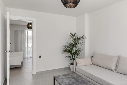 a living room with a couch and a potted plant at White Olive Marine Aquapark in Tigaki