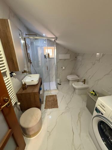 a bathroom with a shower and a toilet and a sink at Umberto I Apartament in Naples