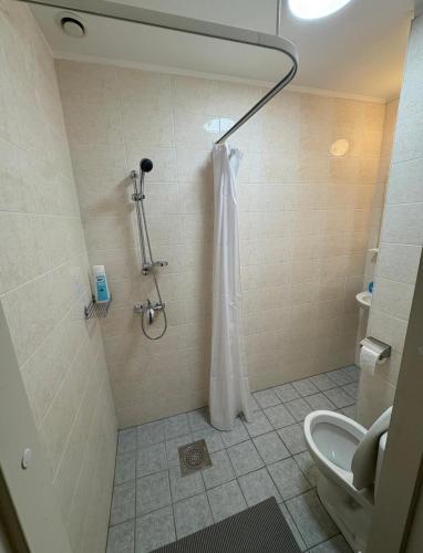 a bathroom with a shower and a toilet at Ravelin in Narva
