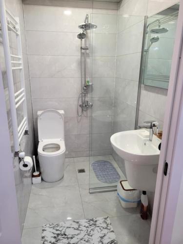 a bathroom with a shower and a toilet and a sink at Stylish House in Kutaisi