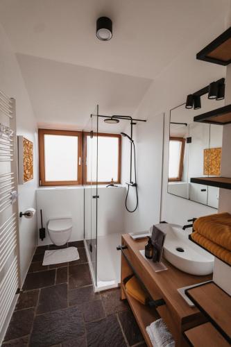 a bathroom with a shower and a toilet and a sink at Ferienhaus Am Grassnitzberg 18 in Straß in Steiermark