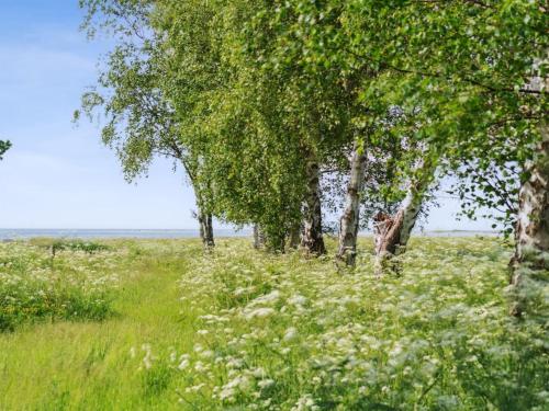 Un paisaje natural cerca de la casa vacacional