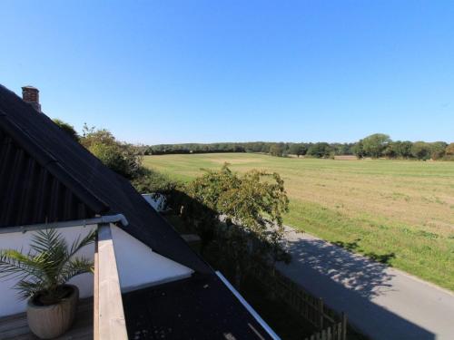 a roof of a house with a field in the background at Holiday Home Dana - 525m from the sea by Interhome in Tranekær