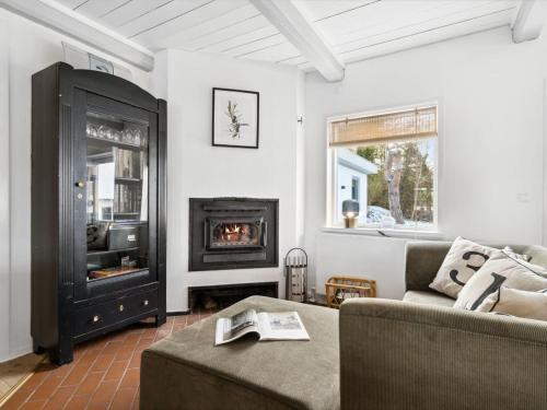a living room with a couch and a fireplace at Holiday Home Dana - 525m from the sea by Interhome in Tranekær