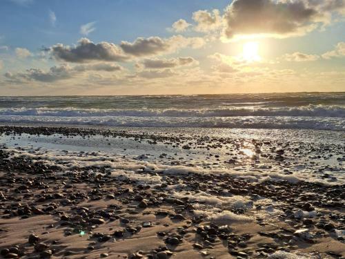 a beach with a group of birds on the sand at Holiday Home Falk - 900m from the sea by Interhome in Skagen