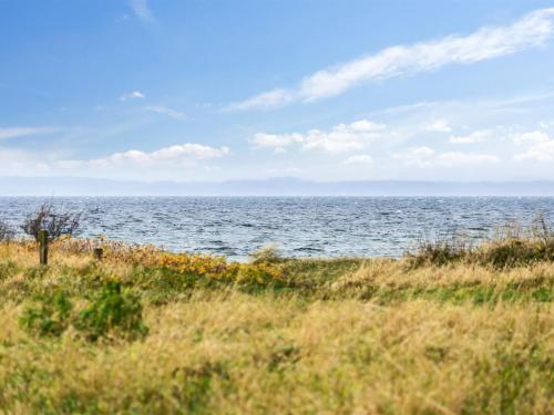 a field of grass with the ocean in the background at Holiday Home Thara - 100m from the sea by Interhome in Sønderby