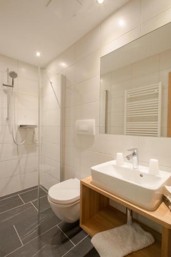 a bathroom with a sink and a toilet and a mirror at Ferienwohnung Pension Tirol in Bichlbach