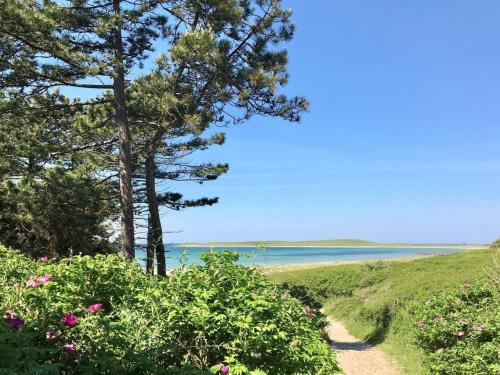 a path leading to a beach with trees and flowers at Holiday Home Els - 1-8km from the sea by Interhome in Fårevejle