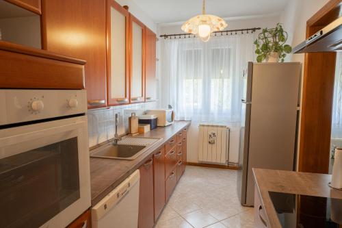 a kitchen with a sink and a refrigerator at Apartment ROKO with sauna & view in Brod Moravice