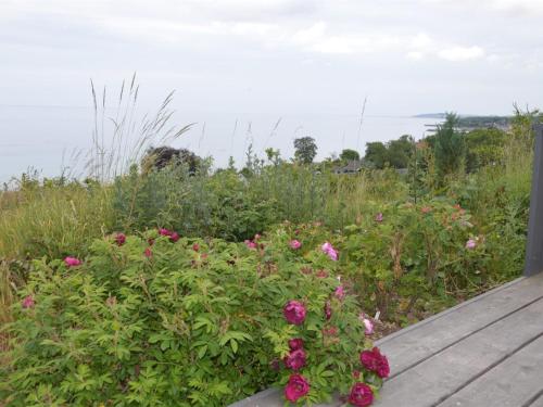 a garden with pink flowers on a wooden deck at Holiday Home Seetje - 200m from the sea by Interhome in Allinge