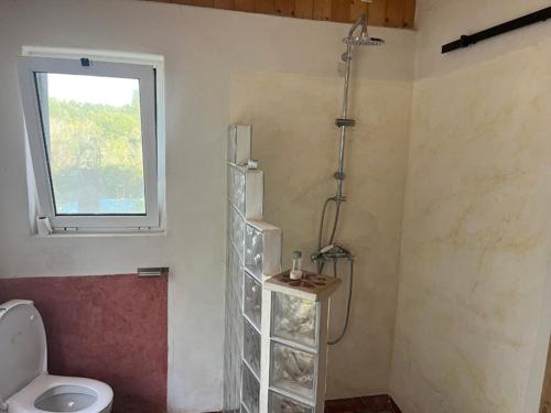 a bathroom with a shower with a toilet and a window at Casinha Ninho da Mãe in Rogil