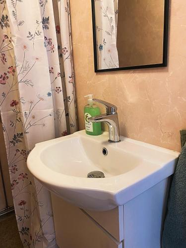 a bathroom sink with a bottle of soap on it at Vallby Herrgård in Mariestad