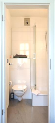 a bathroom with a toilet and a shower at Hotel Zur Fähre in Boppard