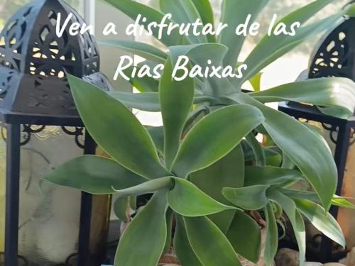 Fotografie z fotogalerie ubytování Sol, mar y naturaleza v destinaci Pontevedra