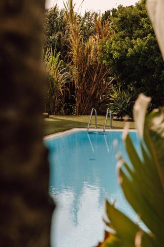 Surfescape Fuerteventura