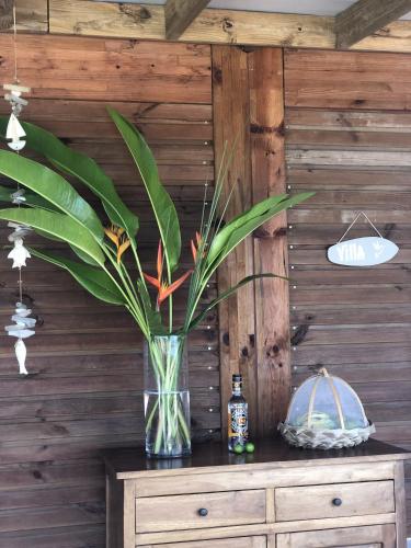 a vase with a plant on top of a dresser at Villa Tigo T3 Colibri in Sainte-Luce