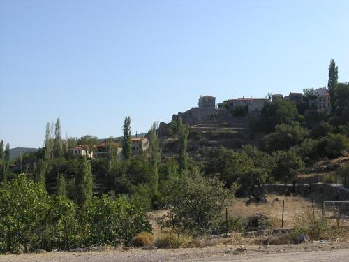 a hill with trees and houses on top of it at Villa Petri in Petra