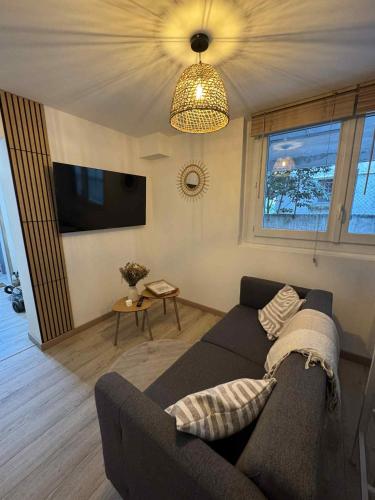 Appartement 1 chambre