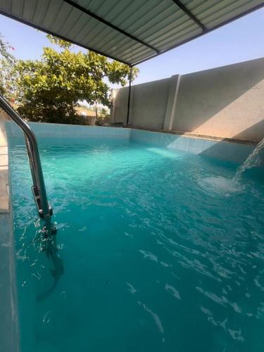 a swimming pool with a dolphin in the water at Olivstays by Offbeat in Udaipur