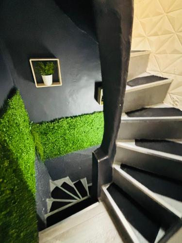 a staircase with green grass on the wall and a plant at Sereni house jacuzzi in Narbonne