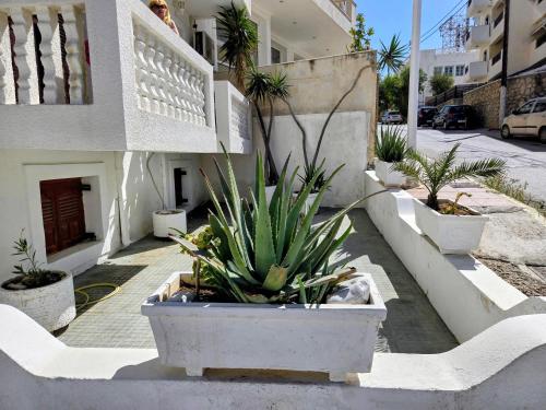 Photo de la galerie de l'établissement Sea Stone Apartments, à Karpathos