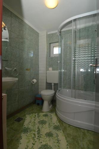 a bathroom with a toilet and a shower and a sink at Vila Moecel in Moieciu de Sus