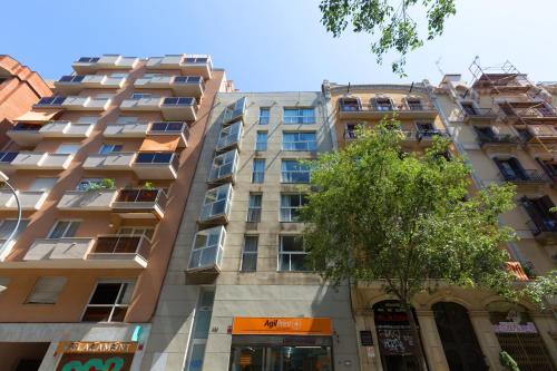 Flateli 430 BCN