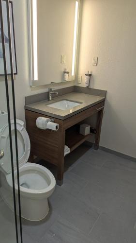 a bathroom with a toilet and a sink with a mirror at Candlewood Suites Conway by IHG in Conway