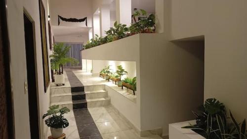 a hallway with potted plants in a building at Casa Marcy, casa nueva con alberca y tres recamaras in Pazulco
