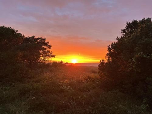 a sunset over a field with trees in the foreground at Holiday Home Kaj - 75m from the sea by Interhome in Tjørneholm