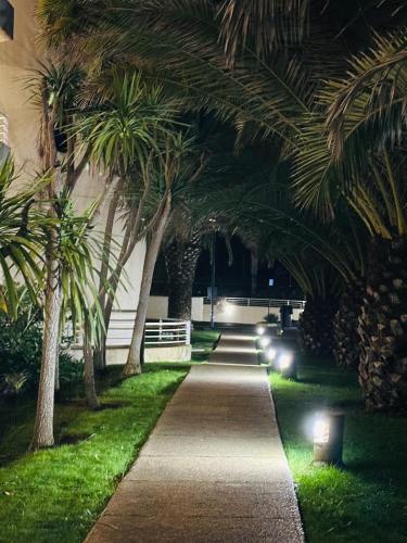 a pathway lined with palm trees at night at San Alfonso del Mar la mejor vista de Algarrobo in Algarrobo