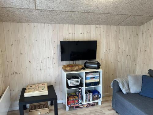 a living room with a tv and a couch at Holiday Home Seba - 1km to the fjord by Interhome in Hemmet