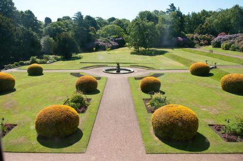 a garden with many bushes in the grass at Wortley Hall Sheffield in Sheffield