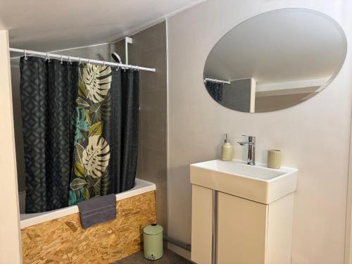 ein Badezimmer mit Waschbecken und Spiegel in der Unterkunft Proche Carcassone chambre avec salle de bain et WC privée Piscine salon et kitchenette partagés avec voyageurs in Cépie