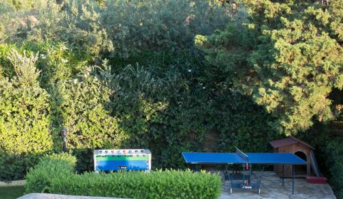 a blue ping pong table in front of a tree at Baglio Sant'Andrea in Valderice