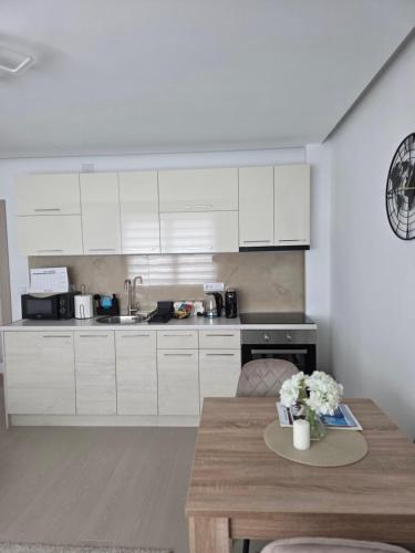 Dapur atau dapur kecil di Kolonja Apartmani