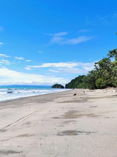 an empty beach with trees and the ocean at Iracas del Mar in Termales - agua caliente - nuqui