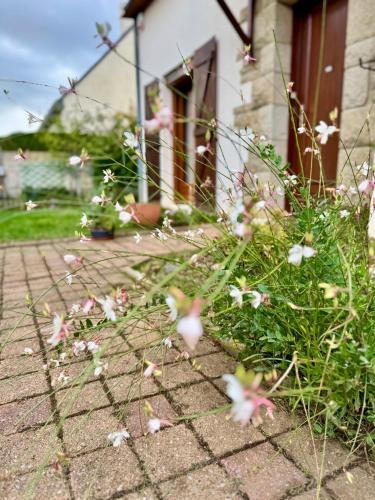 a bunch of flowers in front of a house at La Maison Bretonne in Chartres-de-Bretagne