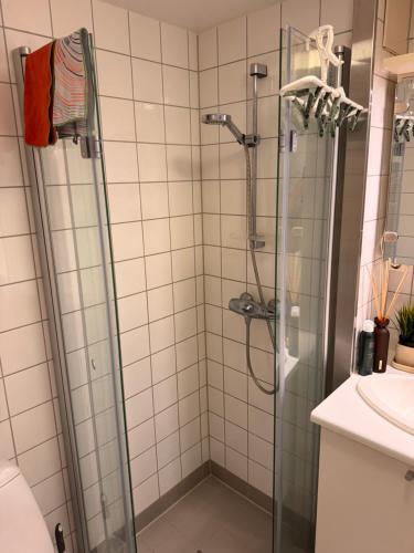 ein Badezimmer mit Dusche mit Glastür in der Unterkunft My Little Boat House in Oslo