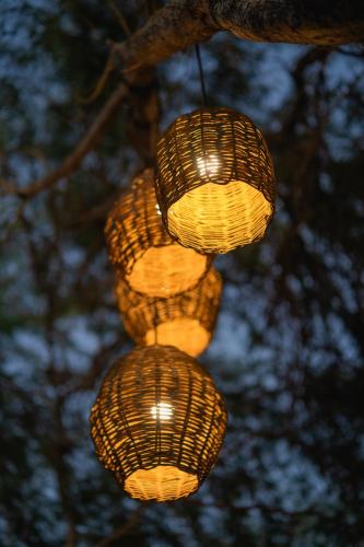 a group of baskets hanging from a tree at Soledade Bangalôs - Kauli Seadi in Macau