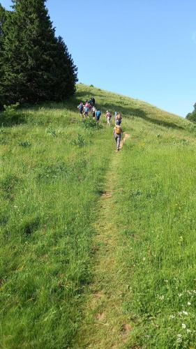 a group of people walking down a grassy hill at Martignat Les Chats 