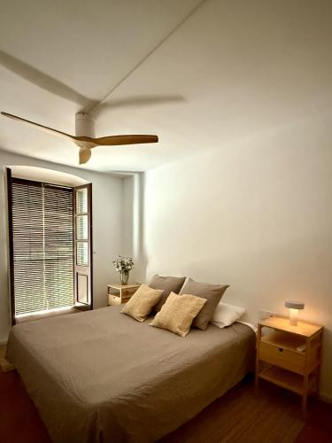 Old town Força nest