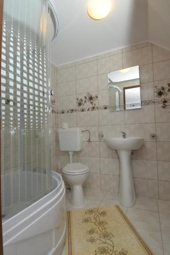 a bathroom with a toilet and a sink and a shower at Vila Moecel in Moieciu de Sus