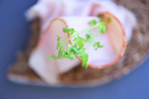 a close up of a sandwich with green onions on it at Das Alte Rathaus in Egna