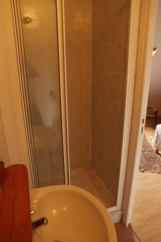 a bathroom with a shower and a sink at Bair Nestad in Assigny