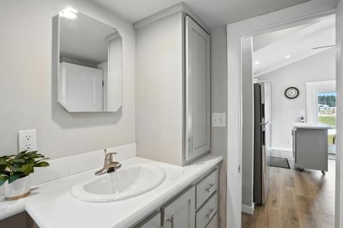 a white bathroom with a sink and a mirror at Dakota Sky- BRAND NEW 1 BD CABIN in Custer