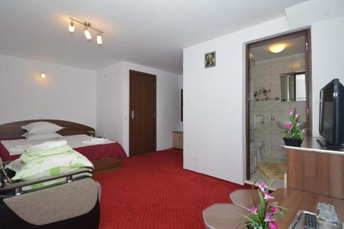 a hotel room with a bed and a television at Vila Moecel in Moieciu de Sus