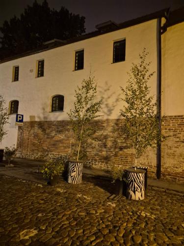 two trees in vases in front of a building at Apartament Przy Murach in Toruń