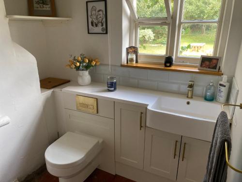 a bathroom with a sink and a toilet and a window at Spacious 6-Bed Countryside Home Surrounded by Nature in Sutton Bridge